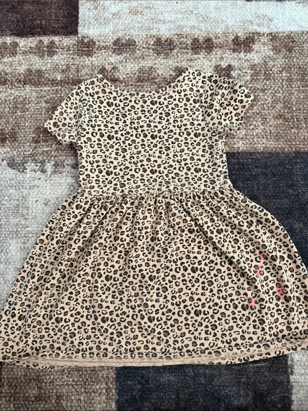 Cat & Jack cute leopard